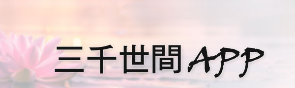 APP